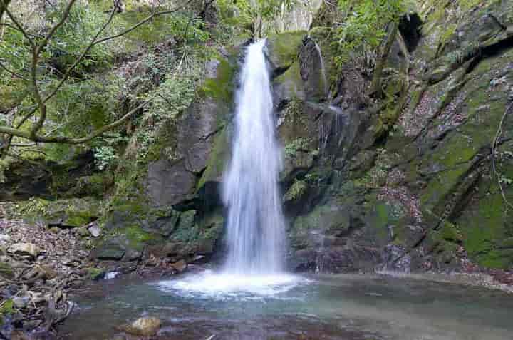 ���̑q��E��O����